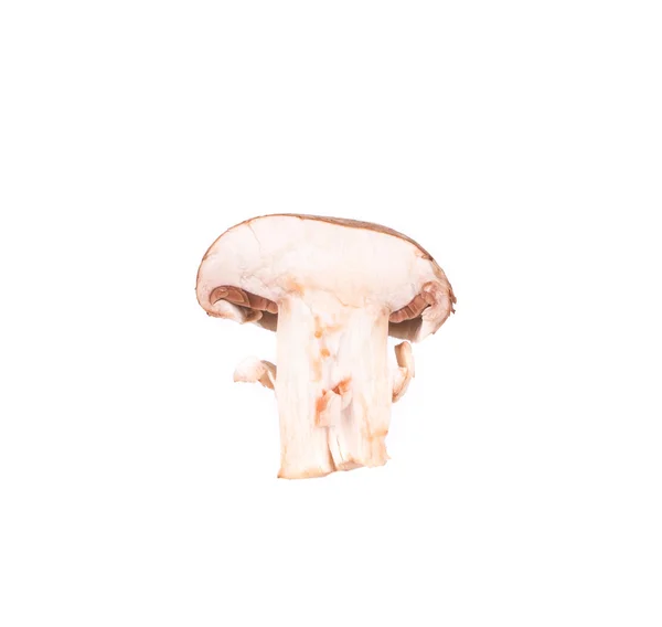 White sliced mushroom — Stock Photo, Image