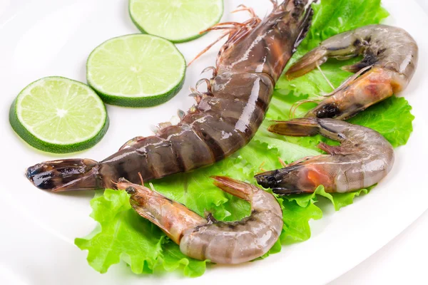 Udang mentah di piring . — Stok Foto