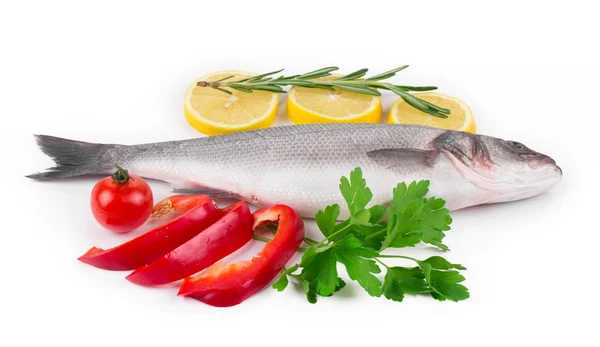 Composition of fresh seabass — Stock Photo, Image