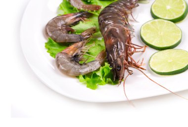 çiğ karides plaka üzerinde