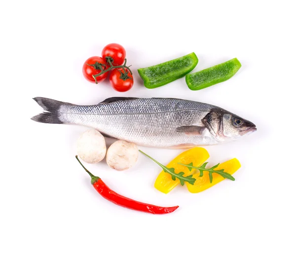 Fresh seabass fish — Stock Photo, Image