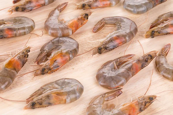 Camarones frescos en bandeja . — Foto de Stock