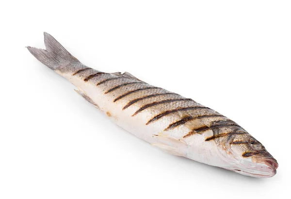 Nahaufnahme von gegrilltem Seebass — Stockfoto