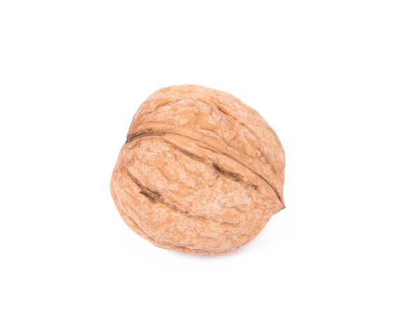 Single walnut isolated — Stock Photo, Image