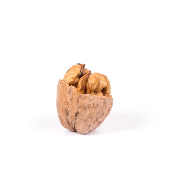 Close up of walnut. — Stock Photo, Image