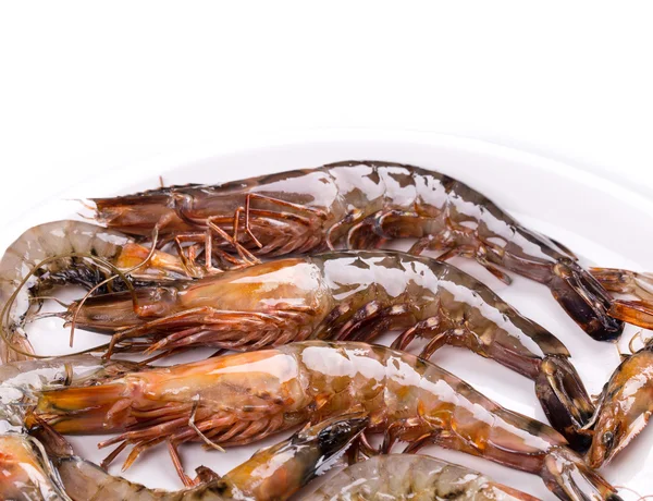 Tasty raw shrimps — Stock Photo, Image