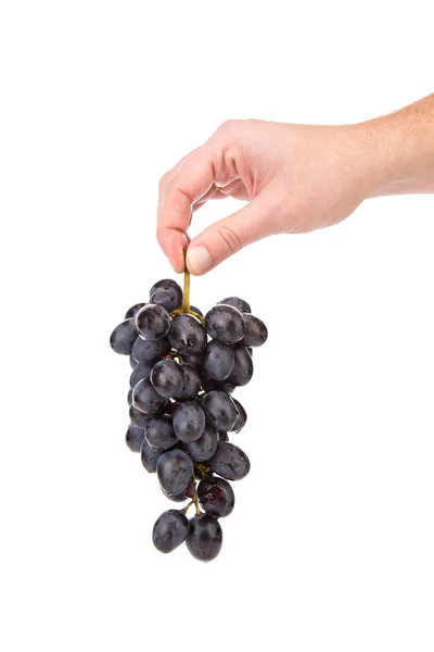 Black grapes in hand. — Stock Photo, Image