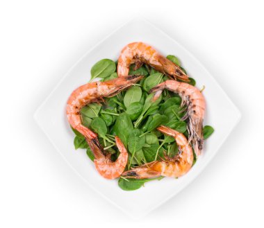 taze haşlanmış karides