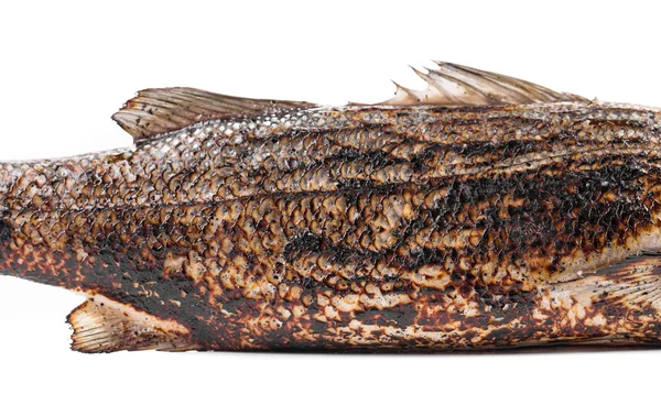 Grilled seabass — Stock Photo, Image