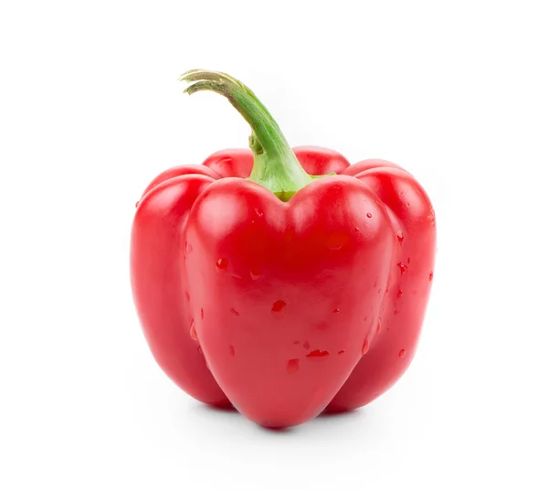 Fresh red bell pepper. — Stock Photo, Image