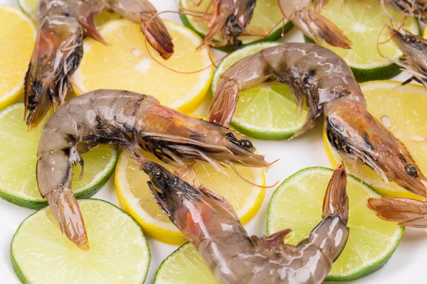 Raw shrimps — Stock Photo, Image