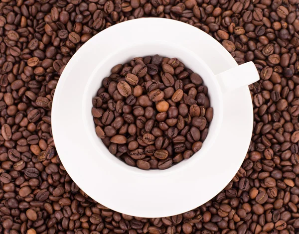 Cup of coffee — Stock Photo, Image