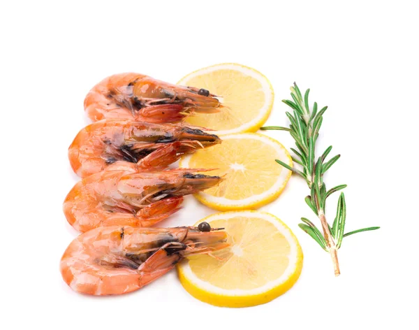 Shrimps close up. — Stock Photo, Image