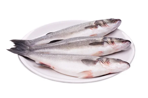 Fresh seabass fish — Stock Photo, Image