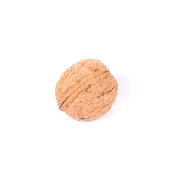 Whole walnut. — Stock Photo, Image