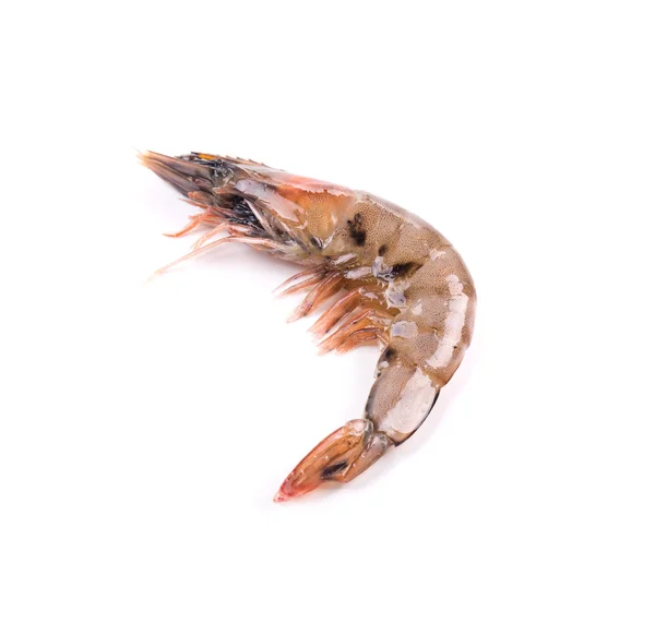 Raw tiger shrimp — Stock Photo, Image