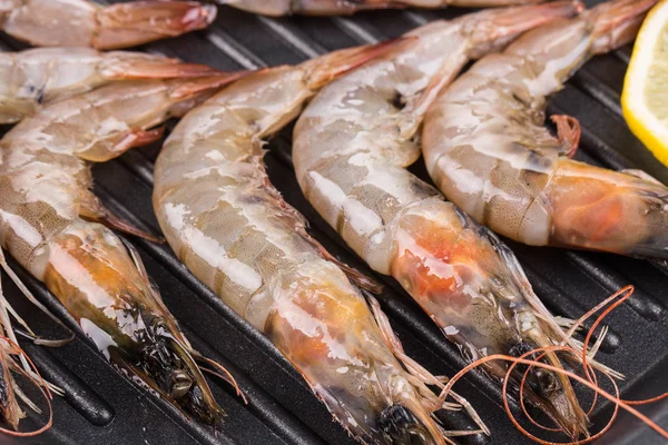 Raw shrimps — Stock Photo, Image