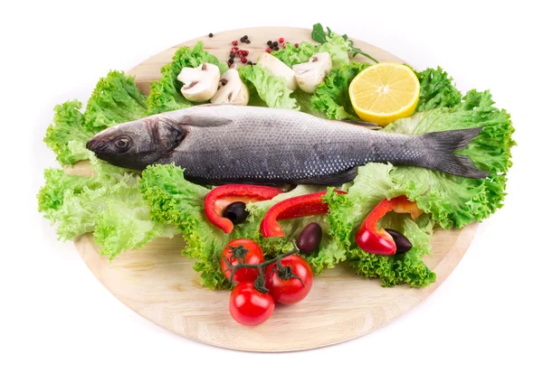 Färska havsabborre fisk — Stockfoto