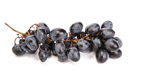 Black  grapes. — Stock Photo, Image