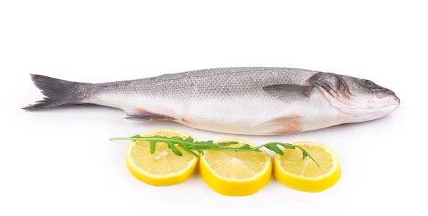 Pescado de mar fresco — Foto de Stock