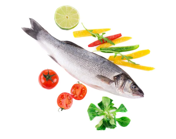 Fresh seabass fish — Stock Photo, Image