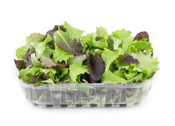 Mélanger la salade en boîte . — Photo