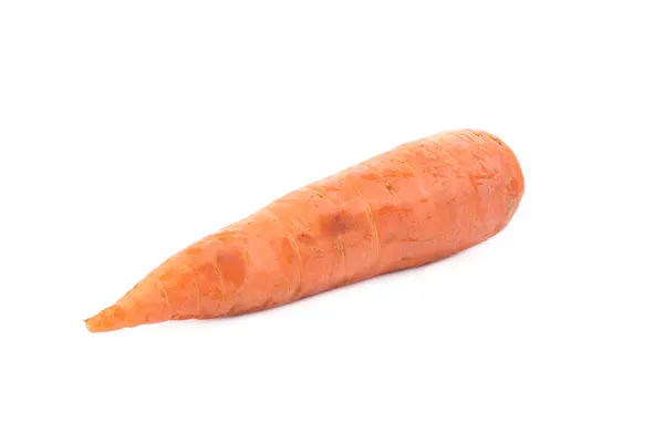 Verse wortel. — Stockfoto