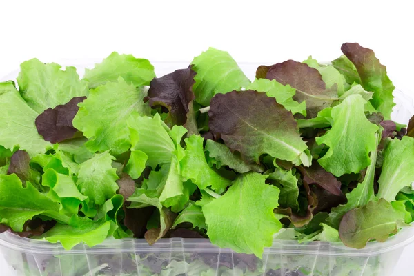 Salada de mistura em caixa . — Fotografia de Stock