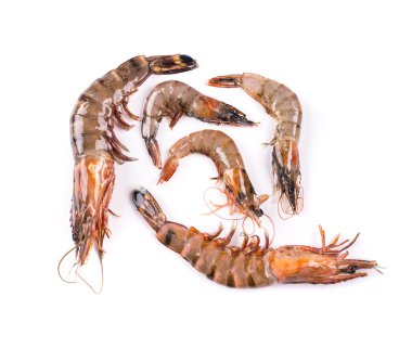 lezzetli taze karides 