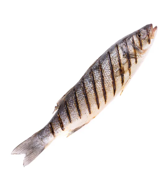 Close up of seabass grilled — Stock Photo, Image
