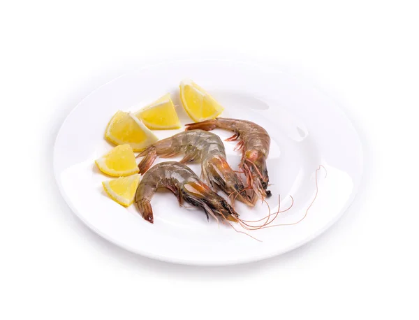 Deliciosos camarones frescos — Foto de Stock