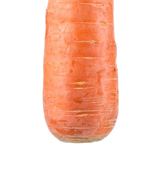 Fresh carrot. — Stock Photo, Image