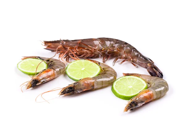 Lahodné čerstvé krevety — Stock fotografie