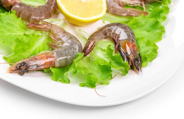 Camarones crudos con lechuga y limón . —  Fotos de Stock