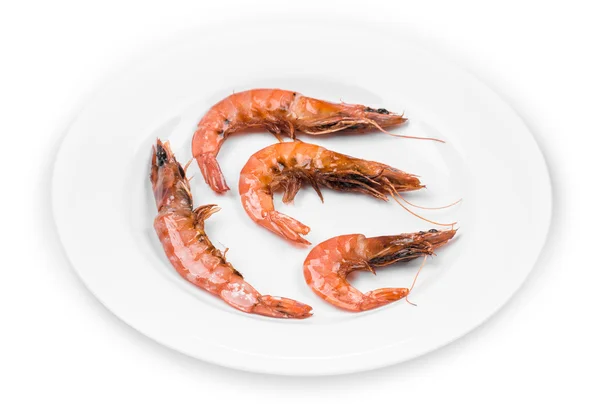 Gros plan sur les crevettes fraîches bouillies . — Photo