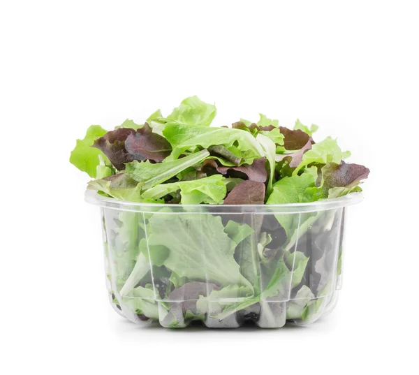 Green and red leaf of lettuce in box. — Stock Photo, Image