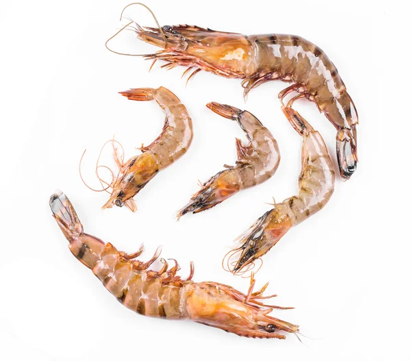 Raw shrimps. — Stock Photo, Image