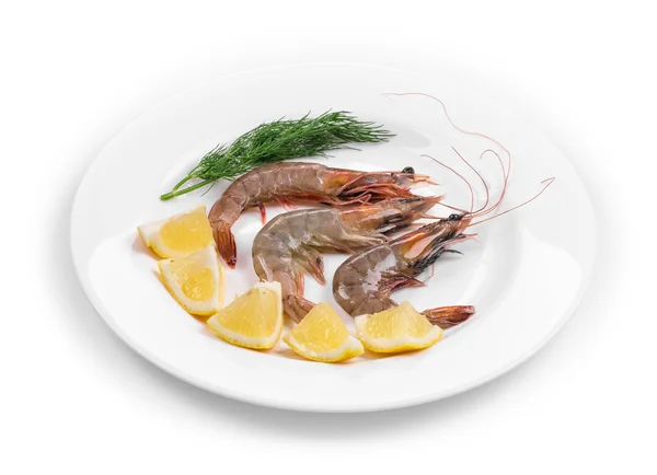 Raw shrimps on white plate. — Stock Photo, Image