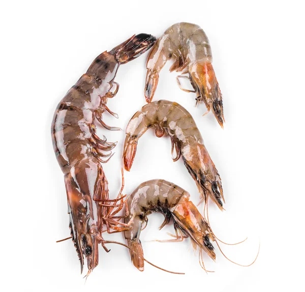 Raw tiger shrimps — Stock Photo, Image