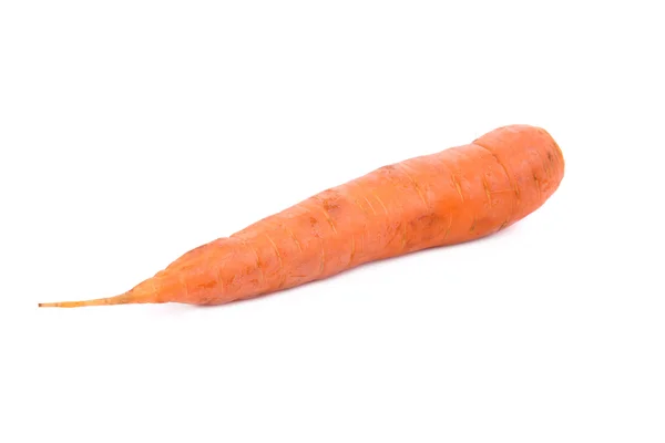 Свежая морковь . — стоковое фото