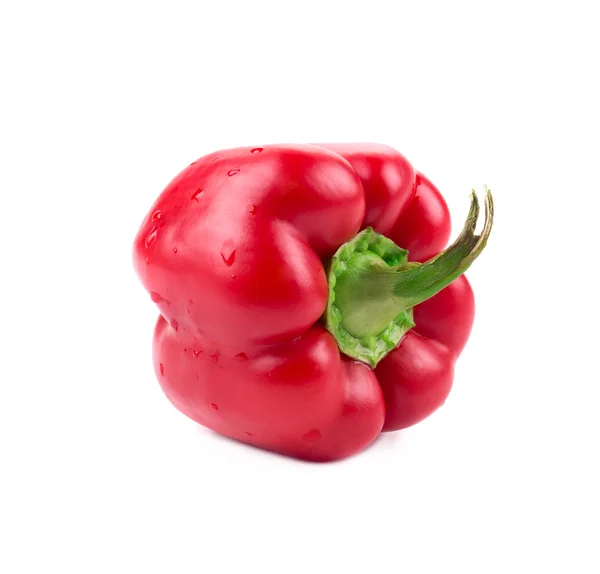 Röd paprika. — Stockfoto