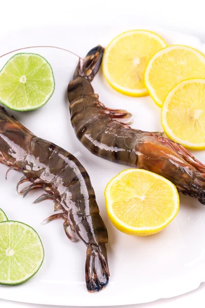 Raw shrimps on white plate. — Stock Photo, Image
