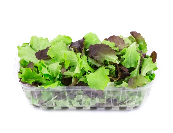 Green and red leaf of lettuce in box. — Stock Photo, Image