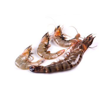 Beyaz üzerine ham kaplan karides.