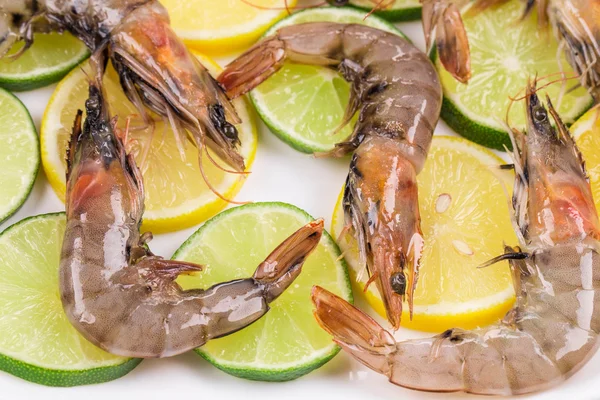 Camarones tigre crudos en plato . —  Fotos de Stock