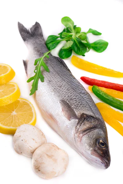 Fresh seabass fish. — Stock Photo, Image