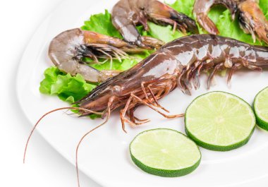 çiğ karides plaka üzerinde.