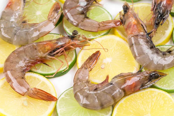 Camarones tigre crudos en plato . —  Fotos de Stock