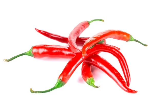 Parta z červených chilli papriček — Stock fotografie