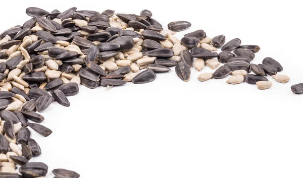 Bunch of sunflower seeds close up. — Stock Photo, Image